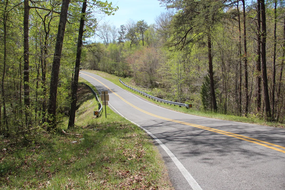 Green forested canyon with a road overlook and distant ridges