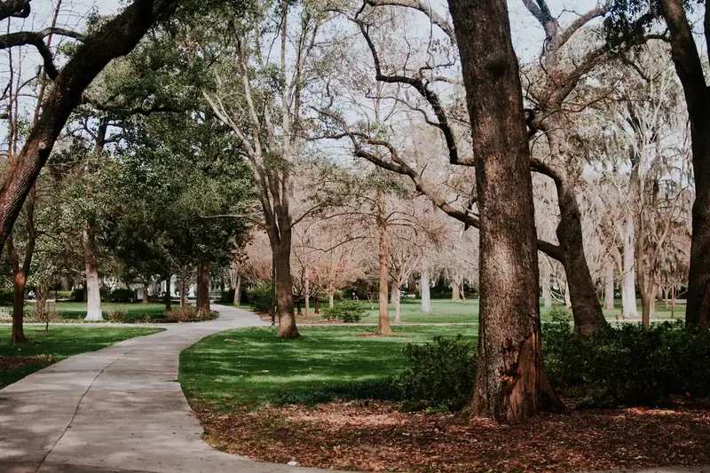 Tree-lined path through Forsyth Park in Savannah under a blue sky