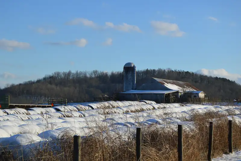 Snow-covered round hay bales in front of a barn and silo, with bare wooded hills behind under a blue sky