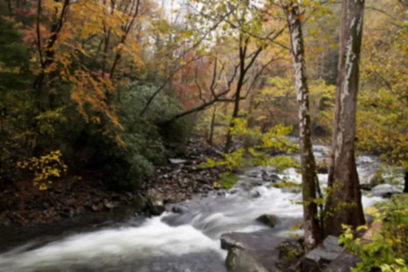 Rushing creek over rocks beneath trees turning yellow and orange