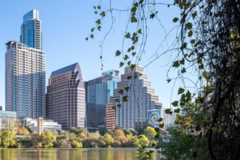Downtown Austin towers above trees along Lady Bird Lake, framed by hanging branches