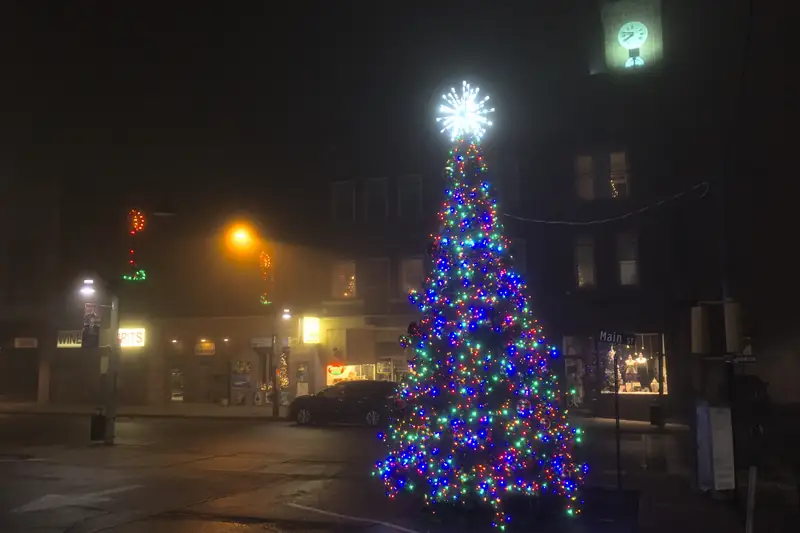 A downtown Christmas tree strung with blue, green and red lights at a foggy Main Street corner at night