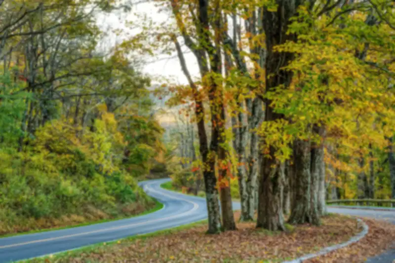 A curving two-lane road under yellow, orange and red autumn trees, with fallen leaves on the grass